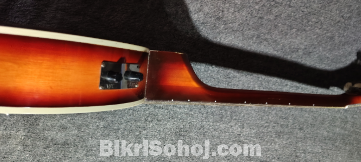 Banjo Guitar